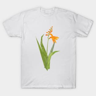 Crocosmia T-Shirt